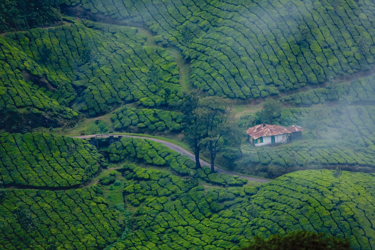 Unveiling Kerala