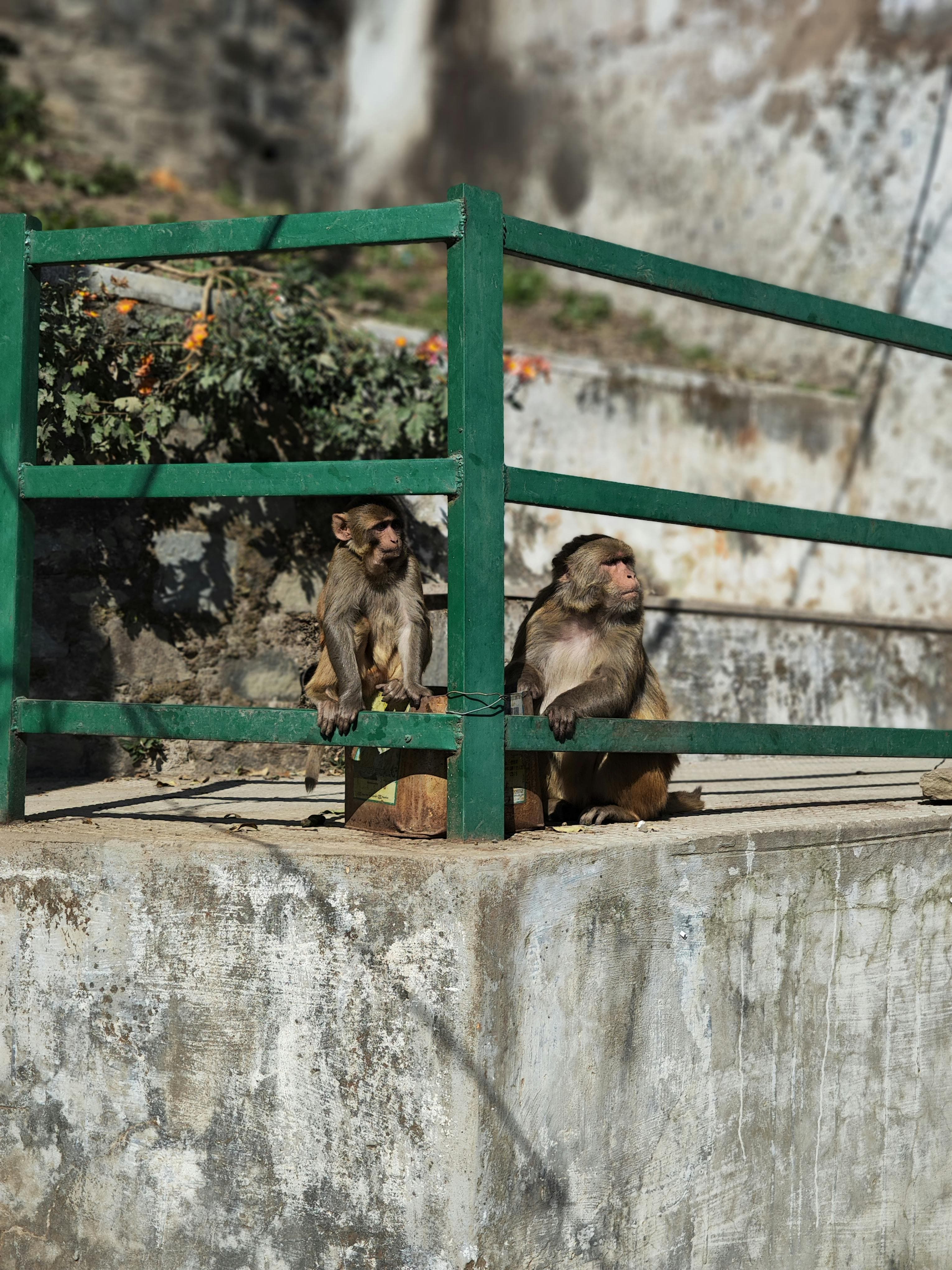 Slide 3