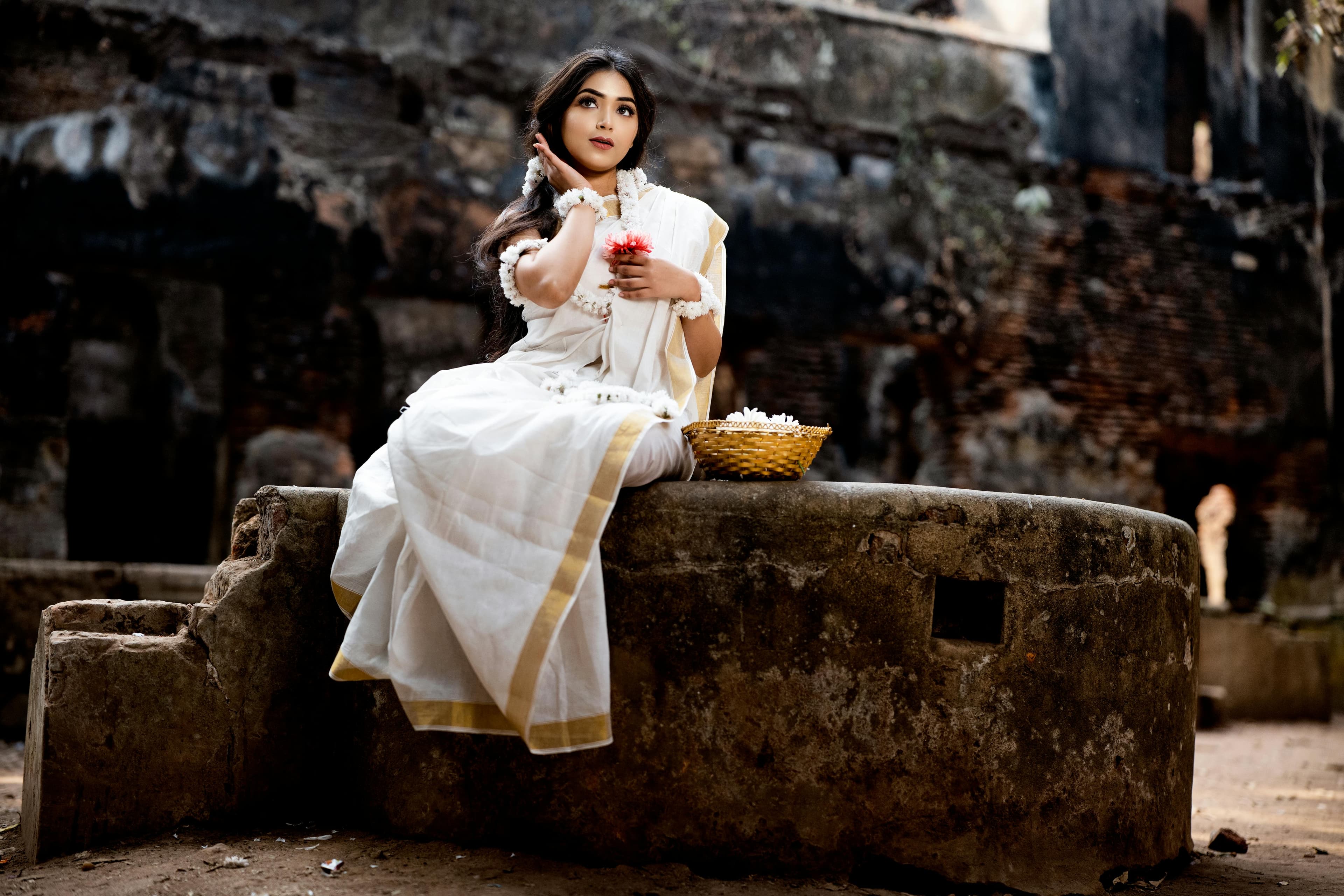 Neemrana Fort