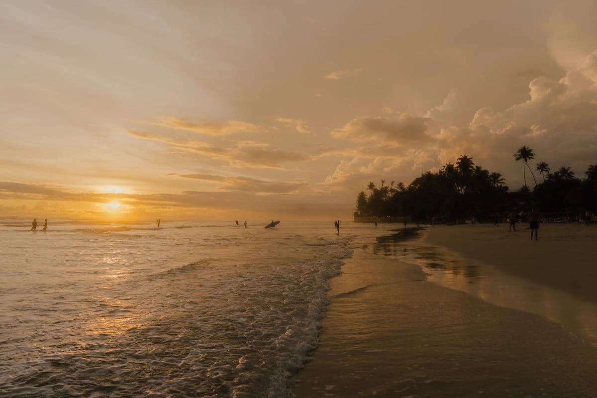 Travel. Transform. Reconnect. 🌿✈️